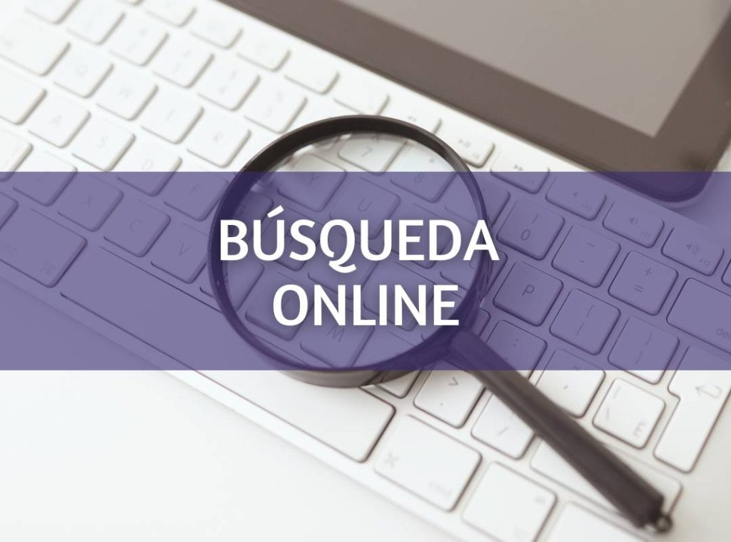 Búsqueda online en Japón
